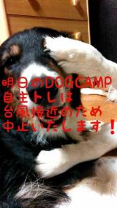 NbNŊg\ ( .jpg / 29.6KB )
