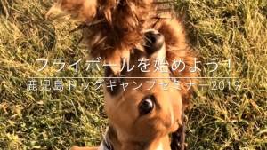 クリックで拡大表示 ( .jpg / 243.6KB )