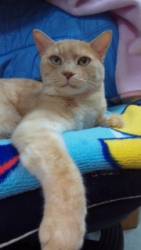 �N���b�N�Ŋg��\�� ( .jpg / 48.1KB )