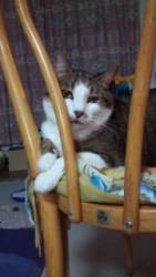 �N���b�N�Ŋg��\�� ( .jpg / 50.6KB )