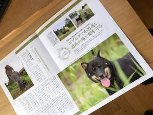 クリックで拡大表示 ( .jpg / 107.7KB )