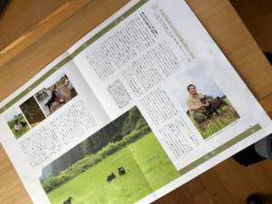 クリックで拡大表示 ( .jpg / 107.9KB )
