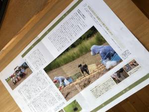 クリックで拡大表示 ( .jpg / 115.3KB )
