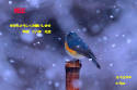 �N���b�N�Ŋg��\�� ( .jpg / 179.6KB )
