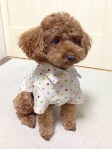 �N���b�N�Ŋg��\�� ( .jpg / 96.1KB )