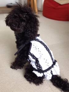 �N���b�N�Ŋg��\�� ( .jpg / 109.1KB )