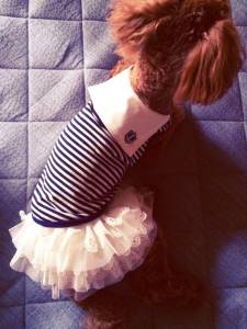 �N���b�N�Ŋg��\�� ( .jpg / 252.0KB )