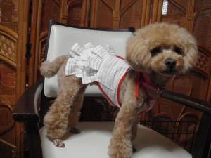 �N���b�N�Ŋg��\�� ( .jpg / 197.3KB )