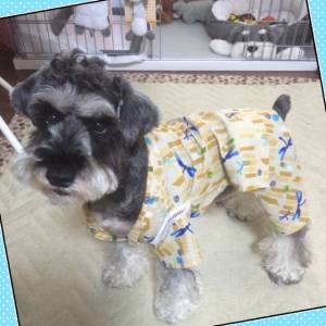 �N���b�N�Ŋg��\�� ( .jpg / 129.8KB )