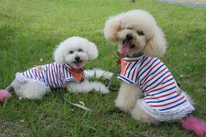 �N���b�N�Ŋg��\�� ( .jpg / 174.0KB )