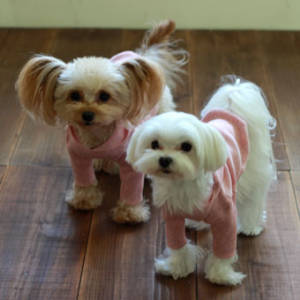 �N���b�N�Ŋg��\�� ( .jpg / 24.7KB )