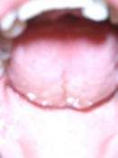 �N���b�N�Ŋg��\�� ( .jpg / 64.1KB )