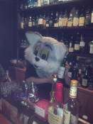 �N���b�N�Ŋg��\�� ( .jpg / 77.1KB )