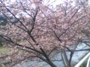 �N���b�N�Ŋg��\�� ( .jpg / 24.4KB )