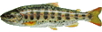 .gif / 23.1KB