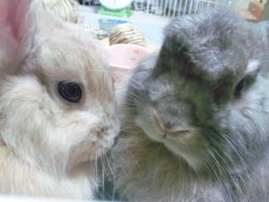 �N���b�N�Ŋg��\�� ( .jpg / 78.5KB )