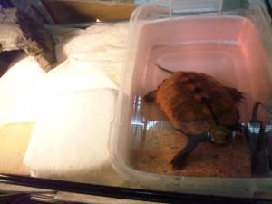 �N���b�N�Ŋg��\�� ( .jpg / 61.4KB )