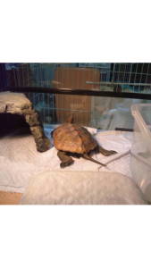 �N���b�N�Ŋg��\�� ( .jpg / 58.7KB )